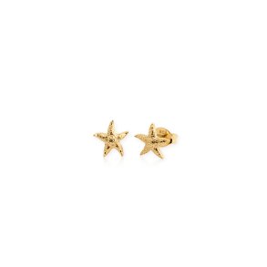 Star Fish Ear Stud